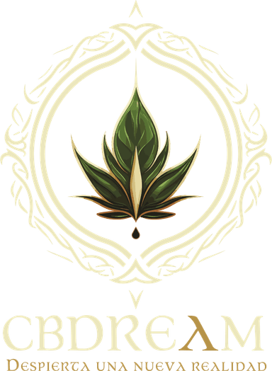Logo 13
